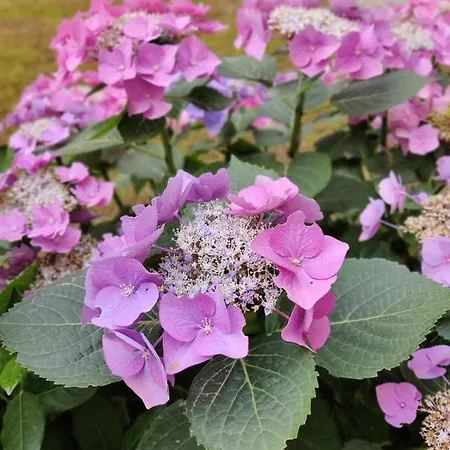 Appartement Ma Choupette