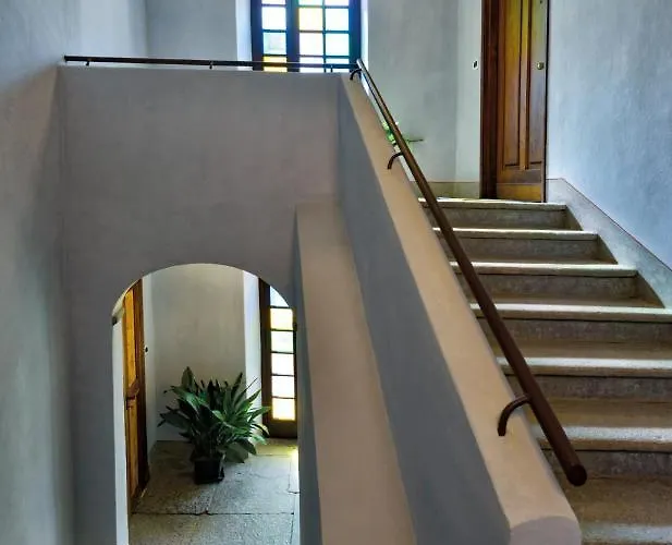 Ma Choupette Daire *